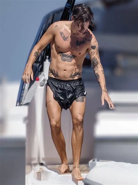 The Best Harry Styles Shirtless Gallery Sashay Magazine