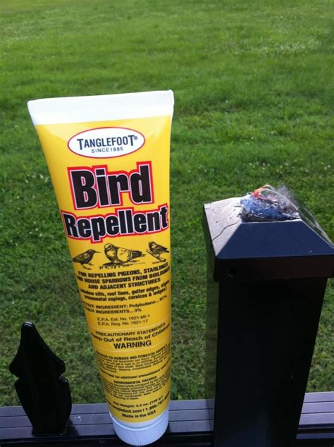 Tanglefoot Bird Repellantnot Harmful To Wildlife But They Sure Dont