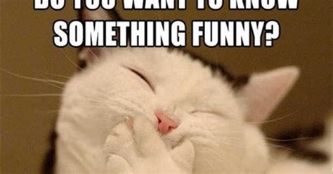 It will show everyone you're funny and prove you have a great sense of humor. Romantic Messages + Flirty Text Messages = Everlasting ...