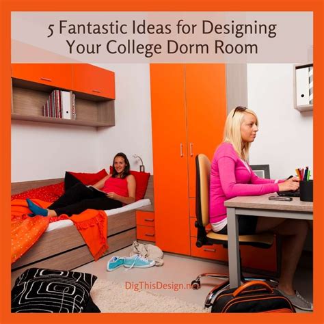 be bold in designing your dorm room dig this design