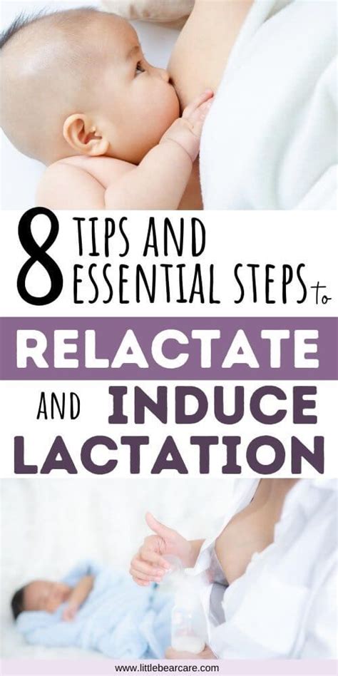 Relactating And Inducing Lactation 8 Steps And Tips Breastfeeding