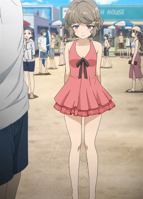 Seishun Buta Yarō Wa Bunny Girl Senpai No Yume Wo Minai Anime Girl