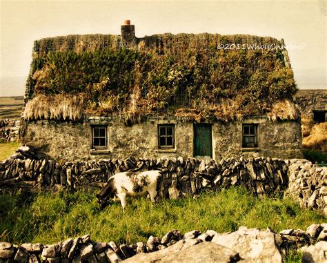 Travel Photography Print Thatched Roof Cottage With Cow Irish