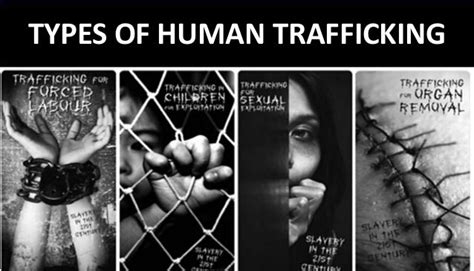 States Laws Passed Against Human Trafficking