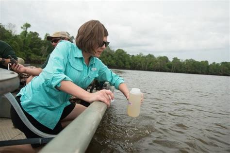 The Alabama Sturgeon Lives Feared Extinct Fishs Dna Rediscovered In
