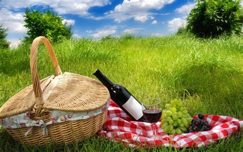 Summer Picnic Wallpapers Top Free Summer Picnic Backgrounds