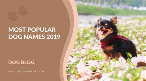 Most Popular Dog Names 2019