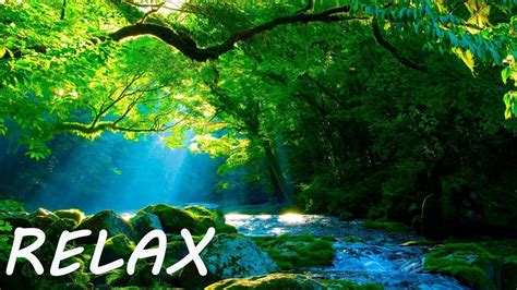 Soothing Music To Positive Feelings Beauty Nature Relaxing Music