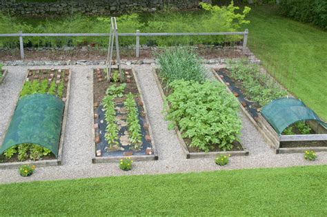 The Second Half Vegetable Garden Raised Beds Vegetable Garden For Beginners Vegetable Garden