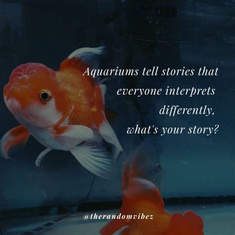 Top 40 Aquarium Quotes And Captions For Your Fish Love
