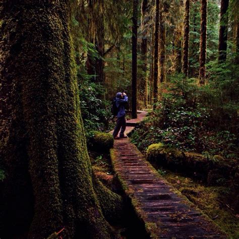 7 Hidden Hikes On Vancouver Island With Tomparkr Explore Bc Super