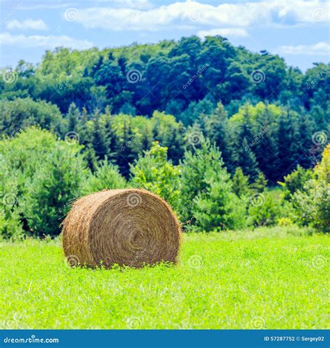 Round Hay Bales On The Green Field Stock Photo Image Of Clouds