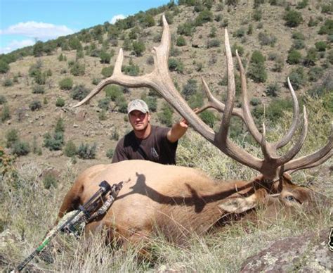 Outdoor Adventures Worldwide Hosted Trip Trophy Southern New Mexico