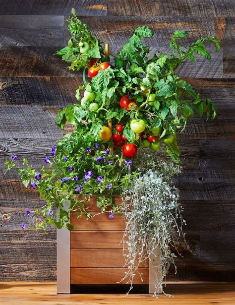 19 Container Vegetable Garden Ideas That Look As Gorgeous As Theyll