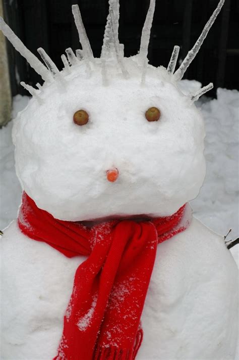 17 Best Images About Snowmen The Real Thing On Pinterest
