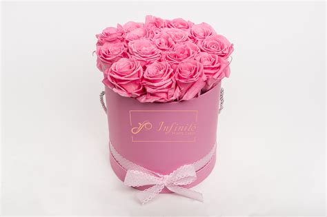 Long life roses in Pink Cylinder M | Infinite Monte Carlo