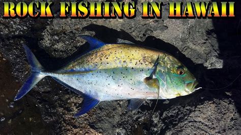 Rock Fishing In Hawaii Exploring New Fishing Grounds Fishing For