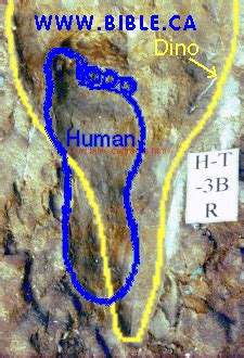 Nevada Fossilised Human Footprint Triassic