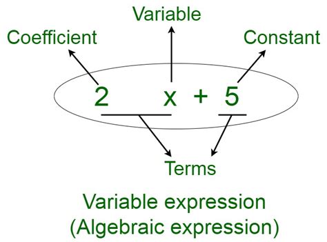 How To Identify An Algebraic Expression Geeksforgeeks