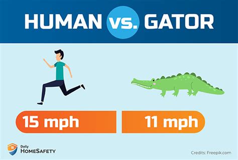At this rate, how far can it run in 3 seconds. How Fast Can an Alligator Run on Land? (+Tips to Outrun It ...