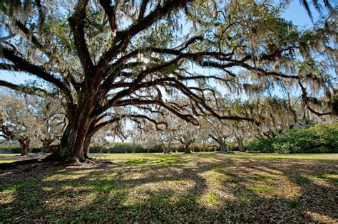 19 Most Beautiful Places to Visit in Louisiana - The Crazy Tourist