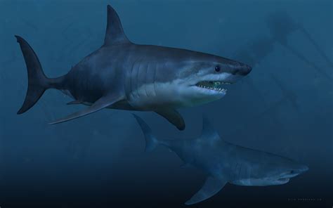 Shark Awareness Rendered Digital Art Background Art