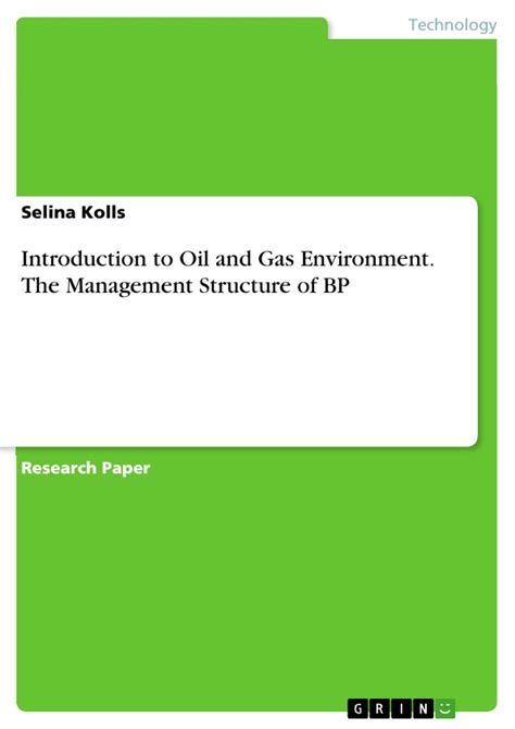 Introduction To Oil And Gas Environment The Management Structure Of Bp