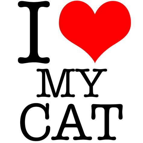 i love my cat