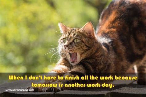 Harvard professor linda hill has studied some of the world's most creative companies to come up with a set of. 2020 Funny and Inspiring Tuesday Memes - Motivation and Love