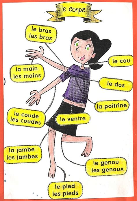 Le Corps Fle Lexique Du Corps Pinterest Parties Body Parts And