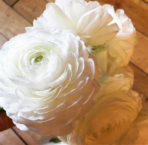 Cheapest wholesale artificial flowers near me. White Ranunculus | Ranunculus | Wedding Flowers | Flowers ...