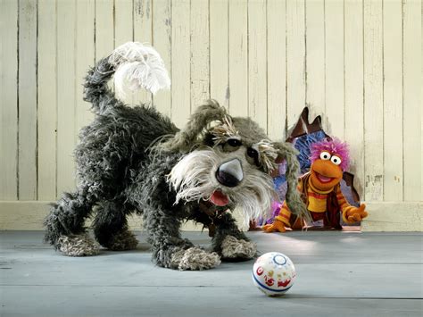 Think You Know The Muppet Dogs? You Have No Idea! - BarkPost