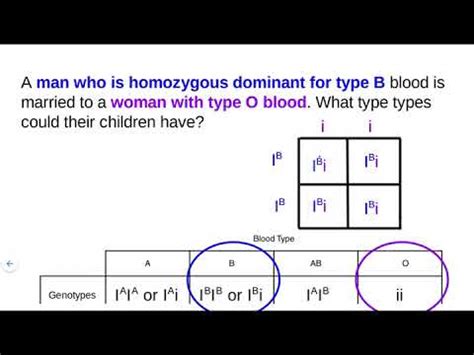 Blood Type Punnett Squares Worksheets