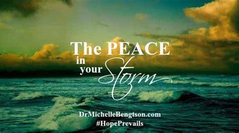 The Peace In Your Storm Dr Michelle Bengtson