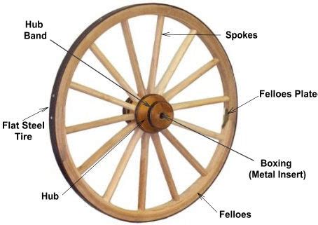 A Wagon Wheels | A Wagon Wheel Information | A Wagon Wheel History