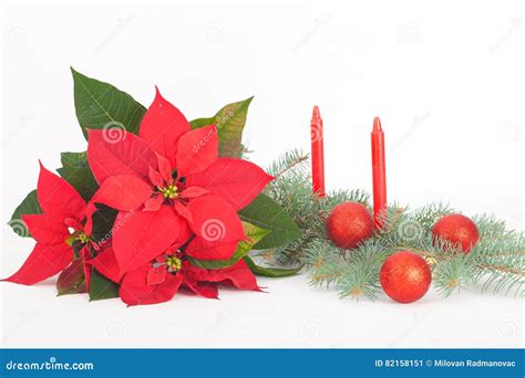 Christmas Flowers With Red Decoration Balls And Candles Stock Image
