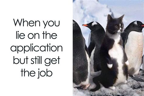 88 Of The Funniest Funny Animal Memes Shared By Obsessed With Animals”