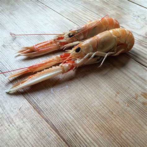 Langoustine