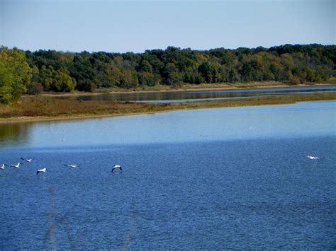 Amenities at whitetail crossing cabin village. Lake Shelbyville, Illinois - Pelicans pic8 | Lake ...