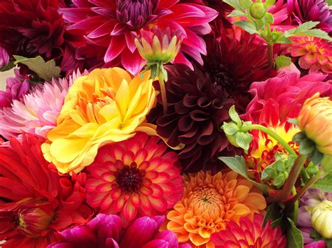 Sunflower garden bouquet albuquerque florist. Original file ‎ (4,000 × 3,000 pixels, file size: 4.15 MB ...