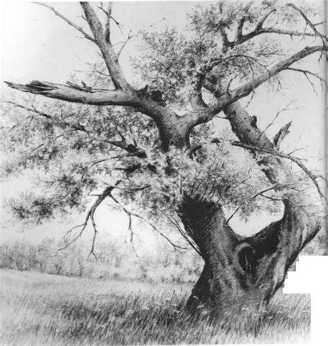 Learn you how to draw a really cool farm scene made from using perspective drawing techniques. Nature Pictures For Drawing ~ Drawing Pictures