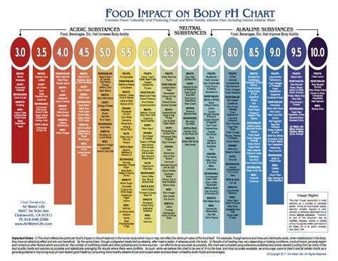 Ph Chart Ph Chart Ph Food Chart Food Charts My Xxx Hot Girl