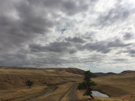 Oc 3264 X2448 The Altamont Pass Ca The Beauty Sometimes Lies In The