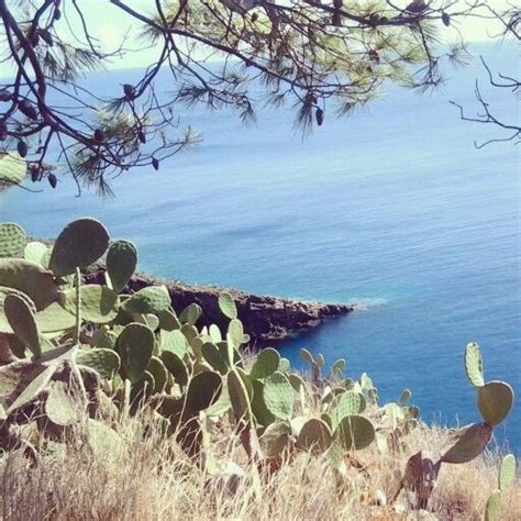 Situata a circa 67 chilometri di distanza da palermo, l'isola di ustica è interamente occupata dal. Ustica | Sicilia, Palermo, Catania