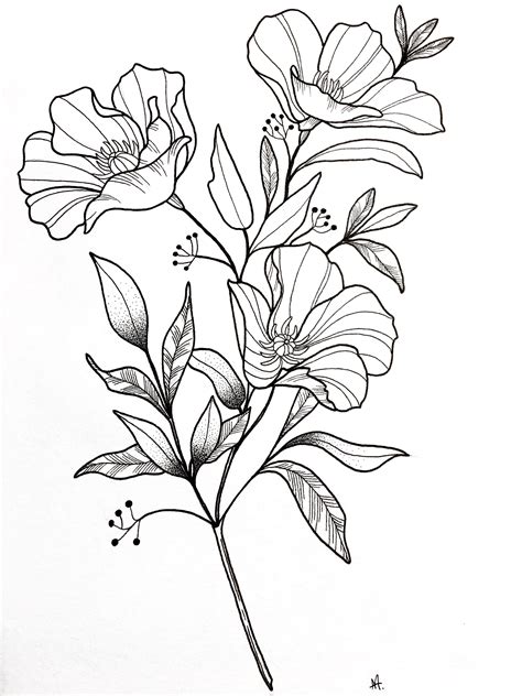 Pin By Aniarts On Tattoo And Ink Flower Drawing Drawings Flower