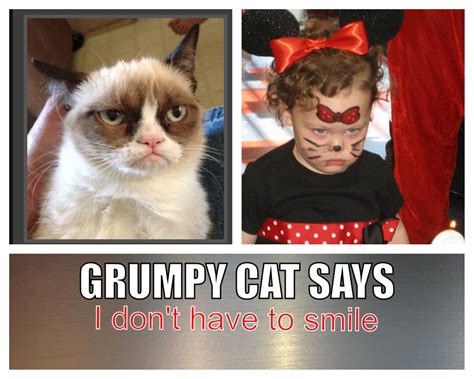 Grumpy Cat Says I Dont Have To Smile Belly Laughs Grumpy Cat Just