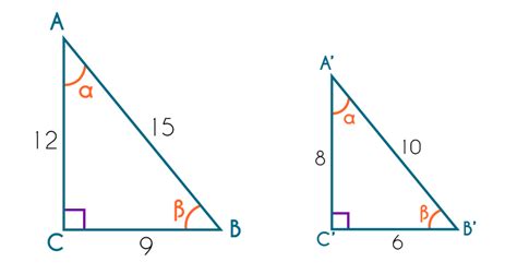 Razones Trigonométricas Para Triángulos Semejantes Unidad De Apoyo