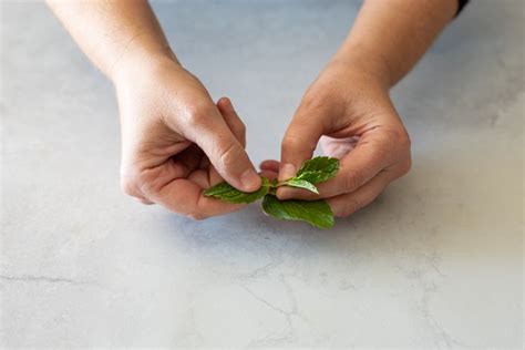 How A Clever Cook Quickly Gets Herbs Off The Stem