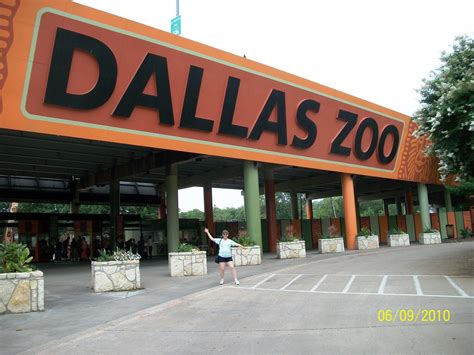 Dallas Zoo Dallas Attractions Dallas Zoo Texas Attractions