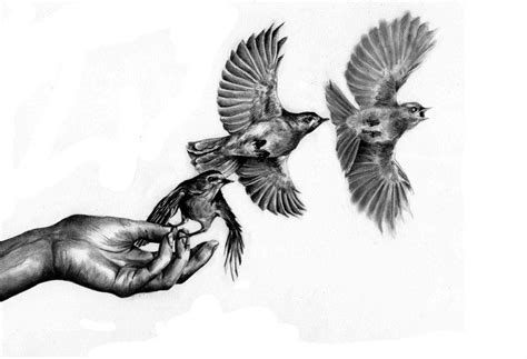 Birds Taking Flight By Kate Powell Bird Drawings Drawings Identity Art